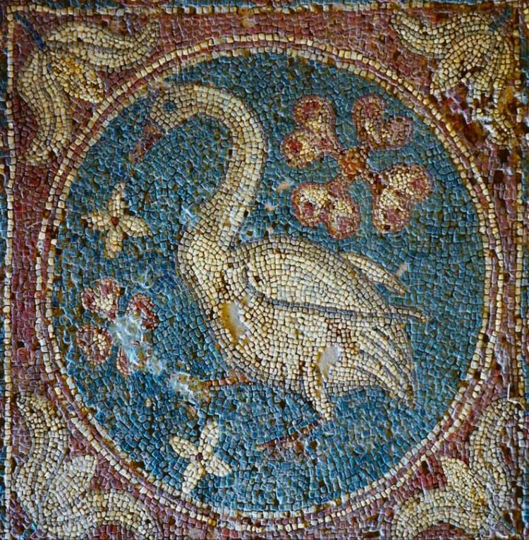 Mosaico oca